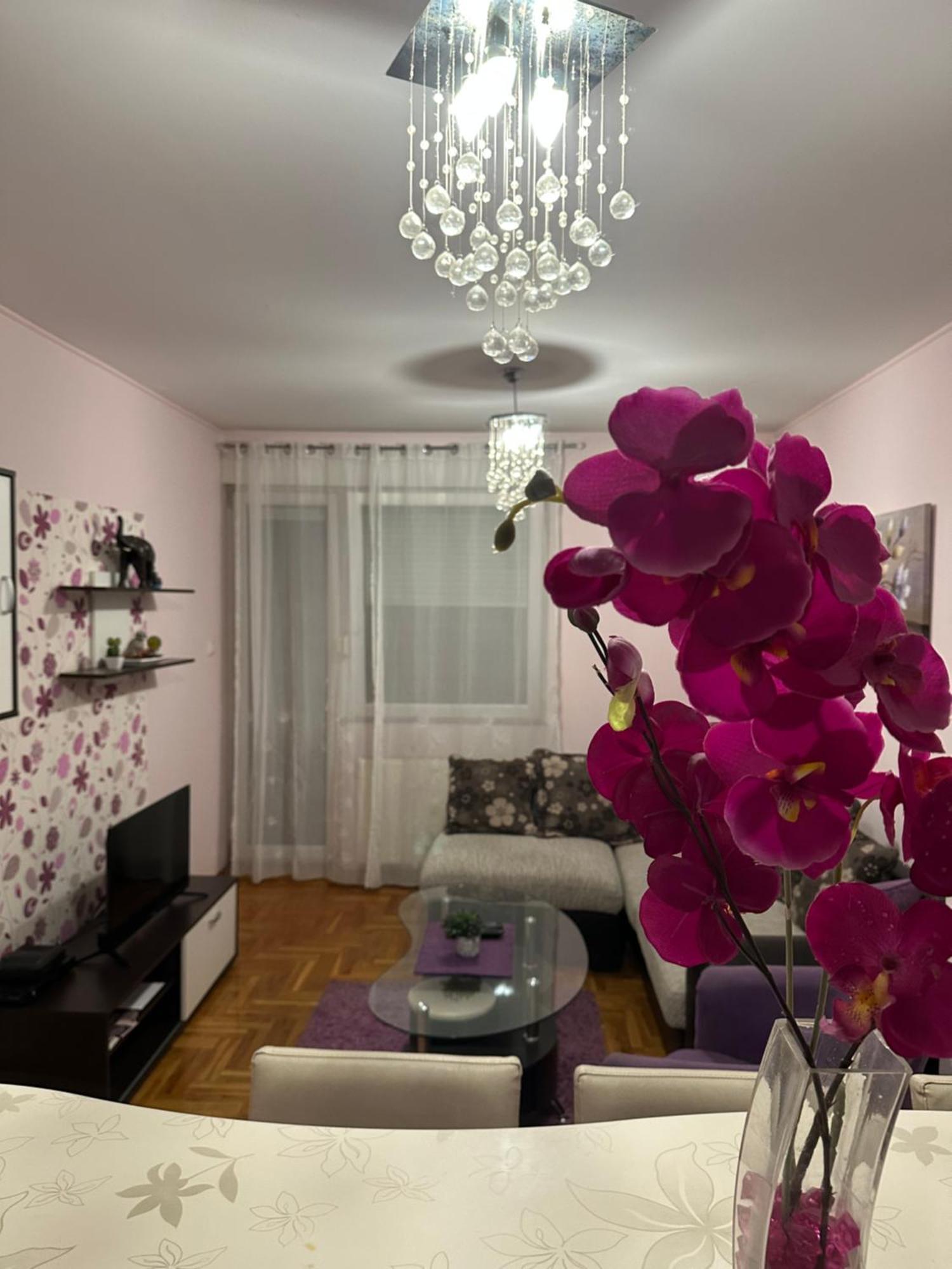 Apartman Ivana Apartman Újvidék Kültér fotó