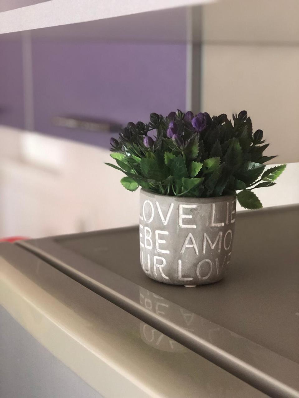 Apartman Ivana Apartman Újvidék Kültér fotó
